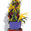 Potted Plant